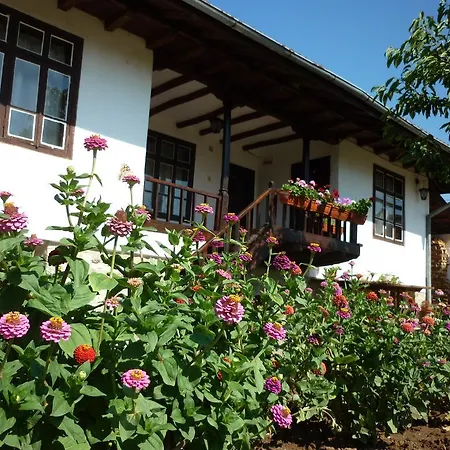Rastovets Penzion Asparukhovo (Varna)